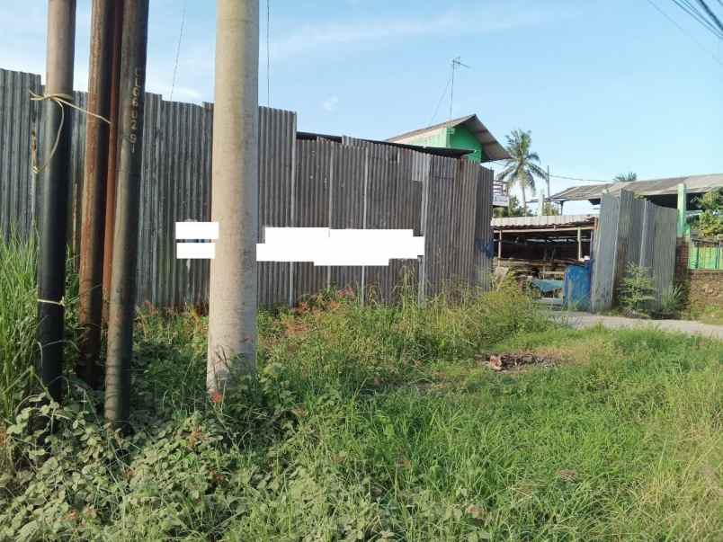 tanah 2000 m pinggir jalan di citangkil cilegon