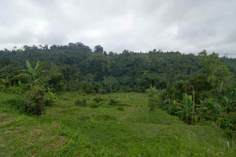 tanah 32 5 are pinggir jalan provinsi