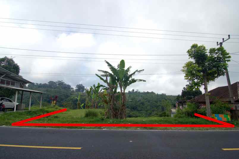 tanah 32 5 are pinggir jalan provinsi