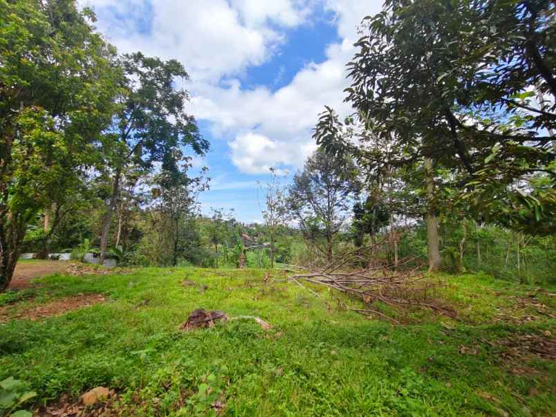 tanah 750m cocok untuk villa ngargoyoso karanganyar