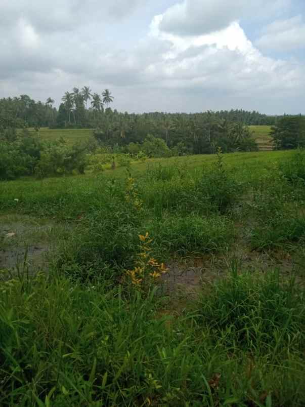 tanah bajera selemadeg tabanan bali