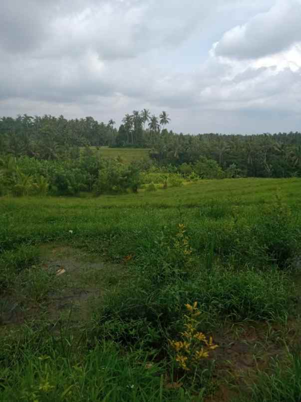 tanah bajera selemadeg tabanan bali
