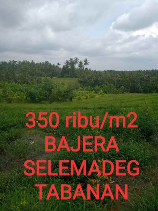 tanah bajera selemadeg tabanan bali