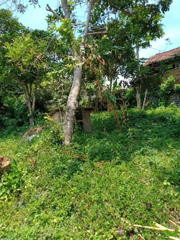 tanah bajera selemadeg tabanan bali