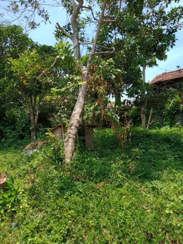 tanah bajera selemadeg tabanan bali