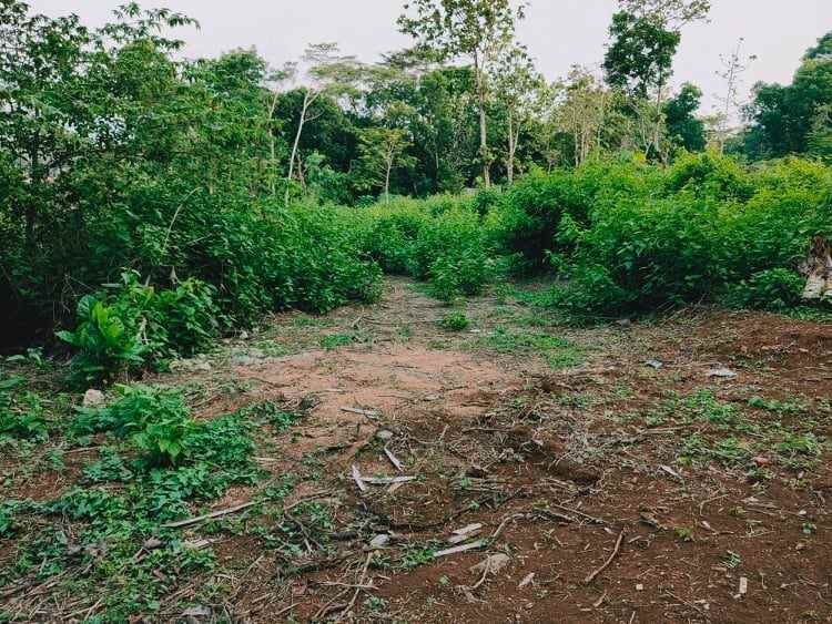 tanah barat kantor pertanian