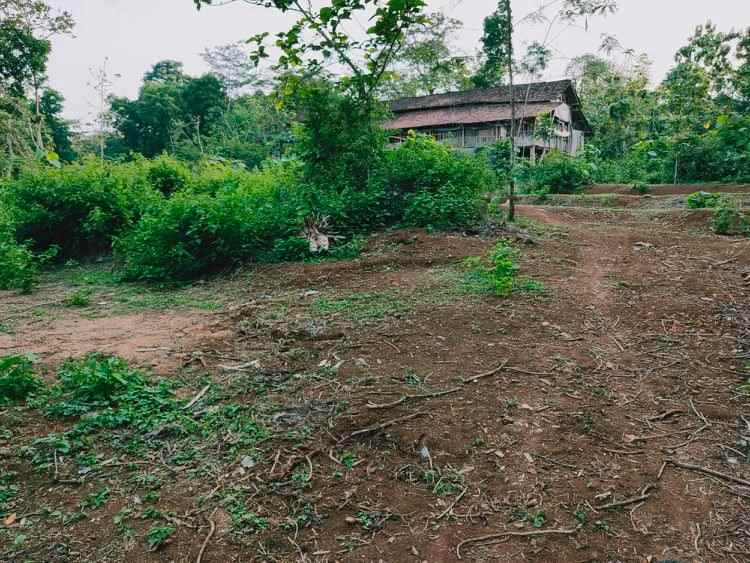 tanah barat kantor pertanian