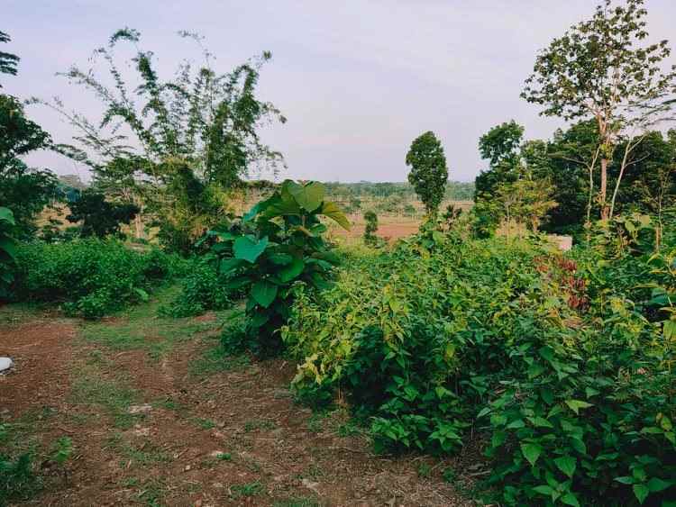tanah barat kantor pertanian