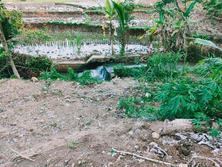 tanah barat kantor pertanian