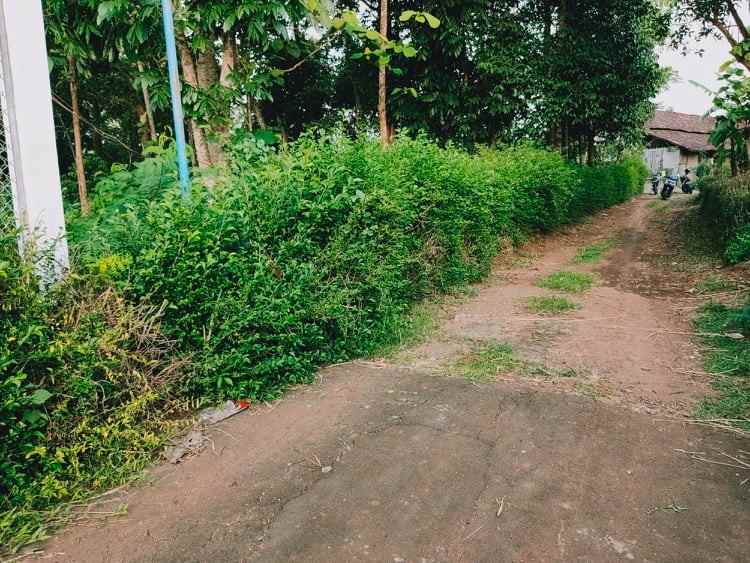 tanah barat kantor pertanian