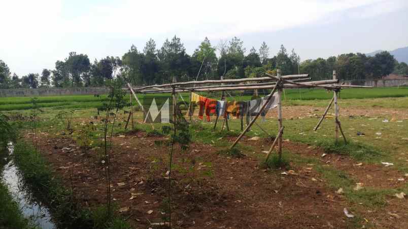 tanah bojong sereh banjaran