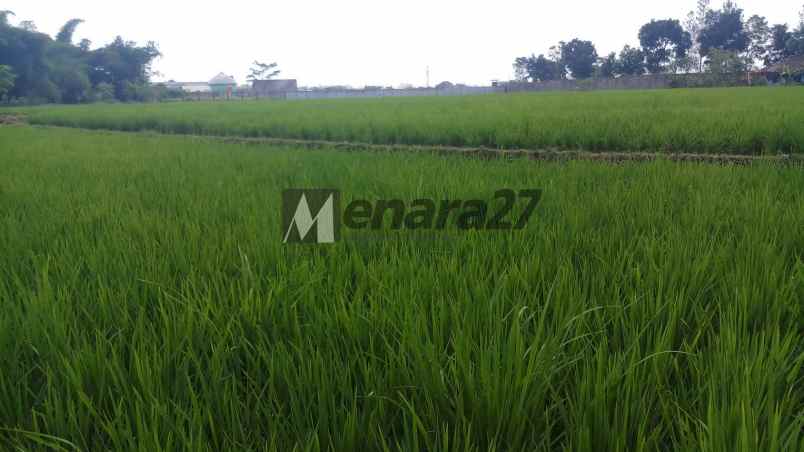 tanah bojong sereh banjaran