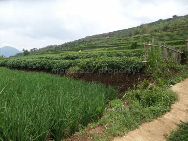 tanah cicalengka rancaekek