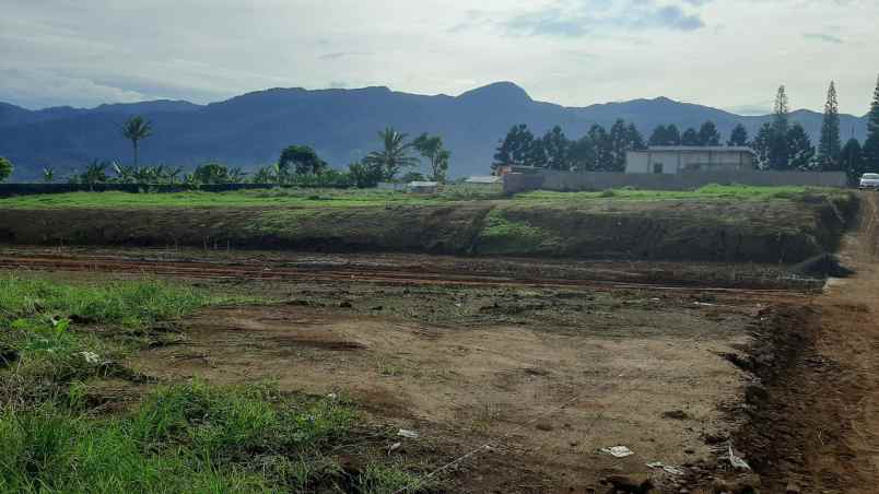 tanah citeko cisarua puncak