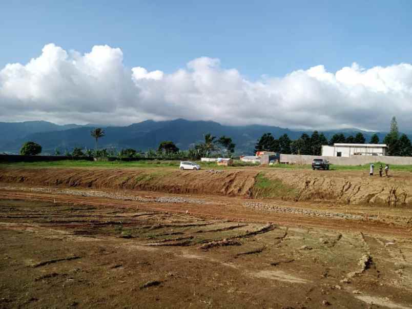 tanah citeko cisarua puncak