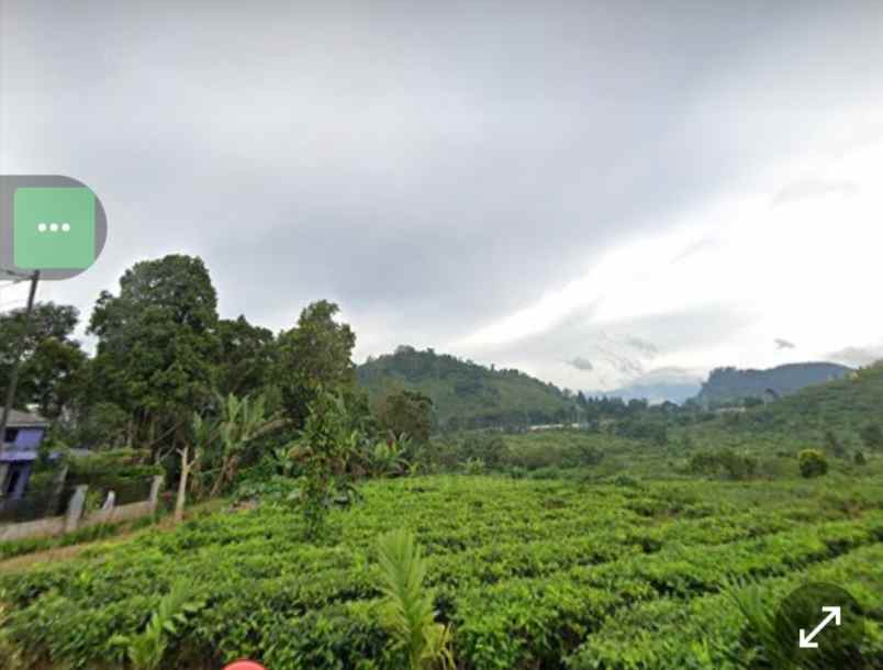 tanah daerah ciater view perkebunan teh subang