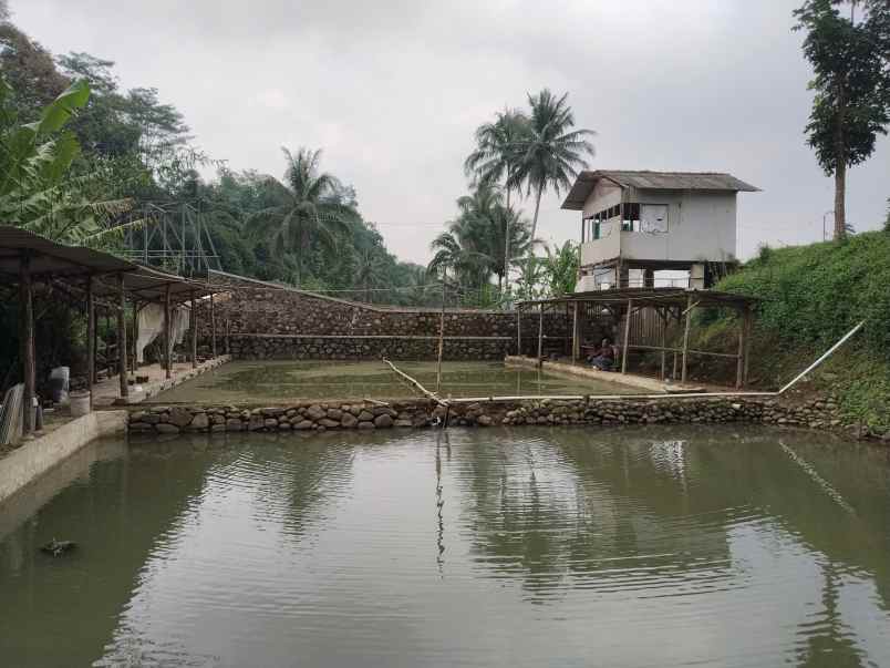 tanah dan bangunan kolam ikan subang jawa barat