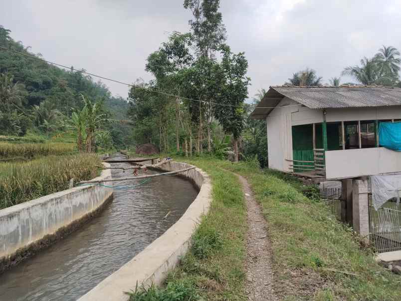 tanah dan bangunan kolam ikan subang jawa barat