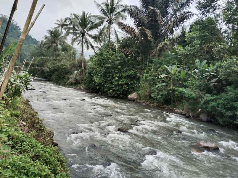 tanah dan bangunan kolam ikan subang jawa barat
