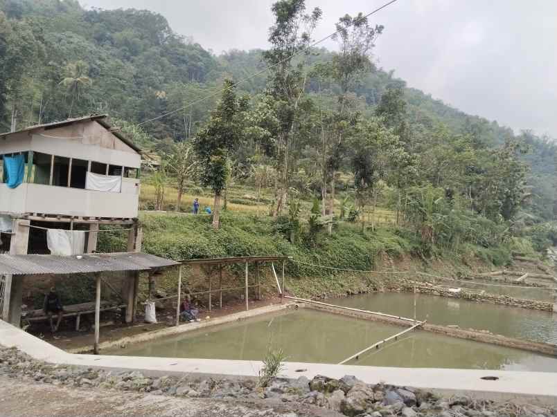 tanah dan bangunan kolam ikan subang jawa barat