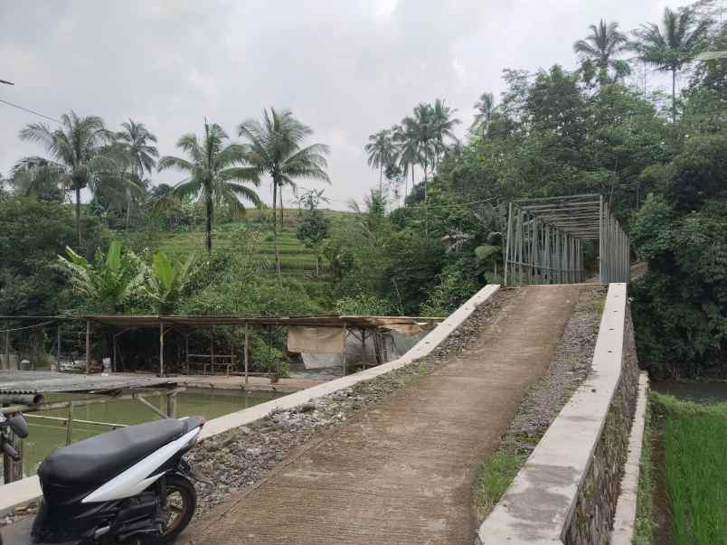 tanah dan bangunan kolam ikan subang jawa barat