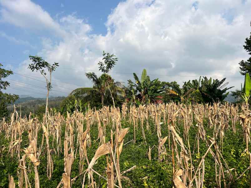 tanah datar 3500m siap bangun karanganyar