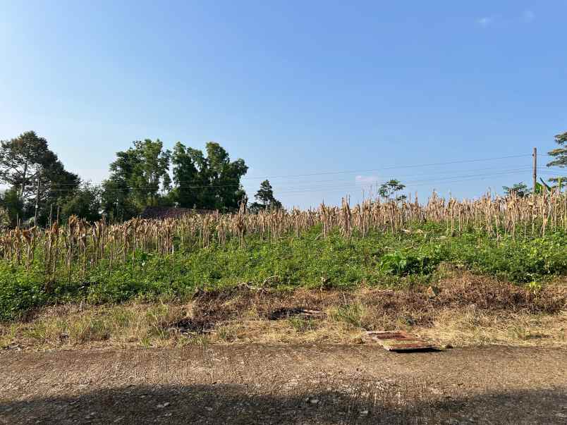 tanah datar 3500m siap bangun karanganyar