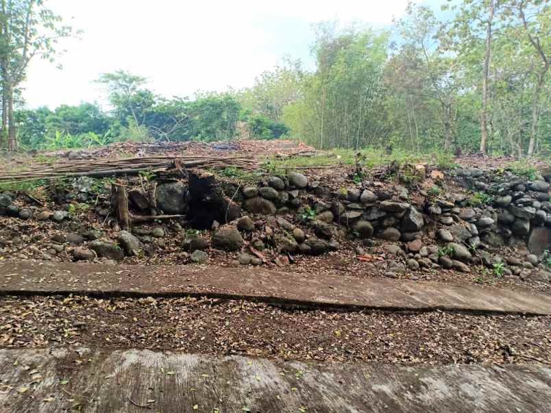 tanah datar strategis kedawung sragen