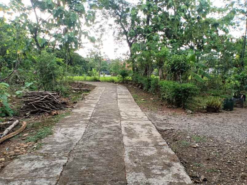 tanah datar strategis kedawung sragen