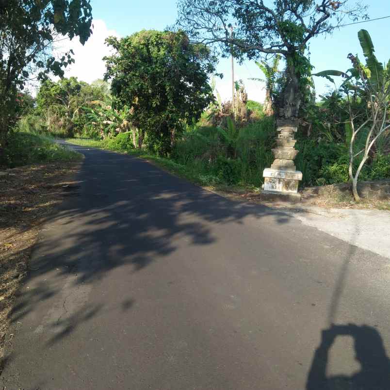 tanah desa lumbung selemadeg