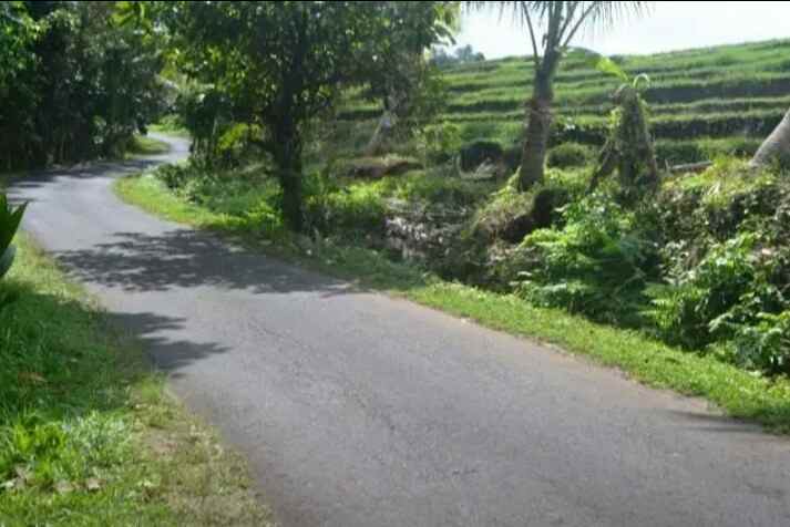 tanah gunung salak selemadeg