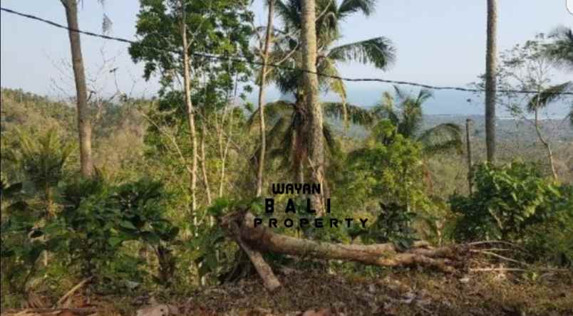 tanah jl banjar surabrata