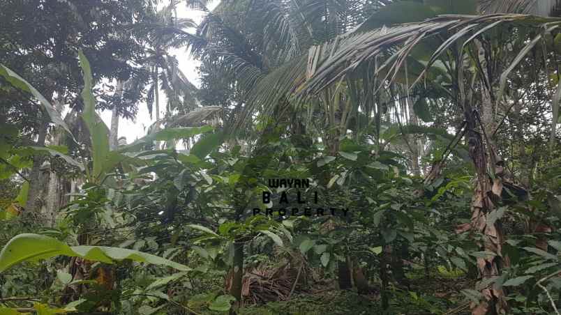 tanah jl banjar surabrata