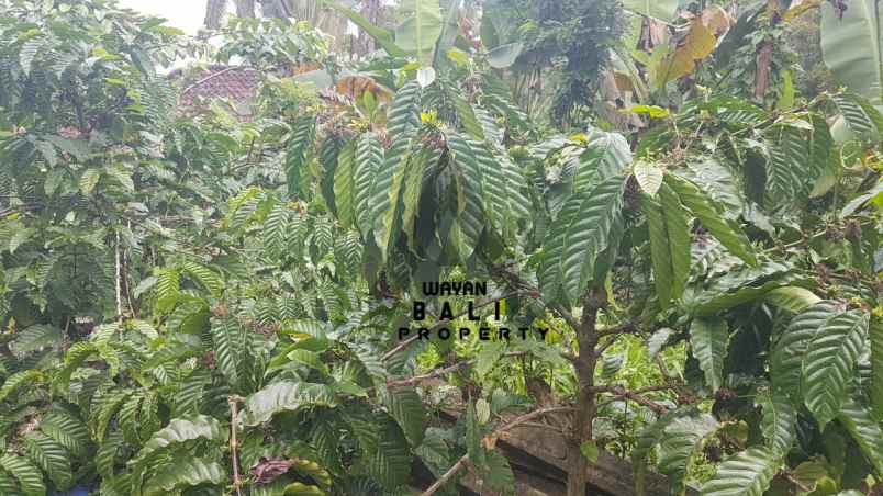 tanah jl banjar surabrata