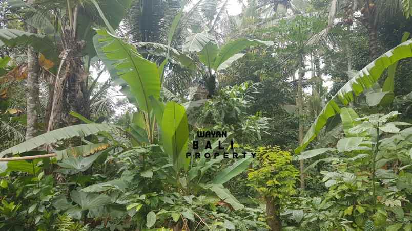 tanah jl banjar surabrata