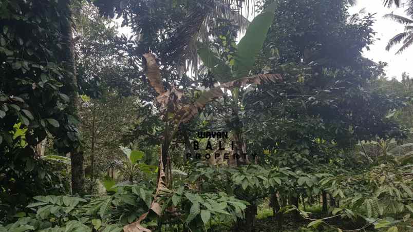 tanah jl banjar surabrata