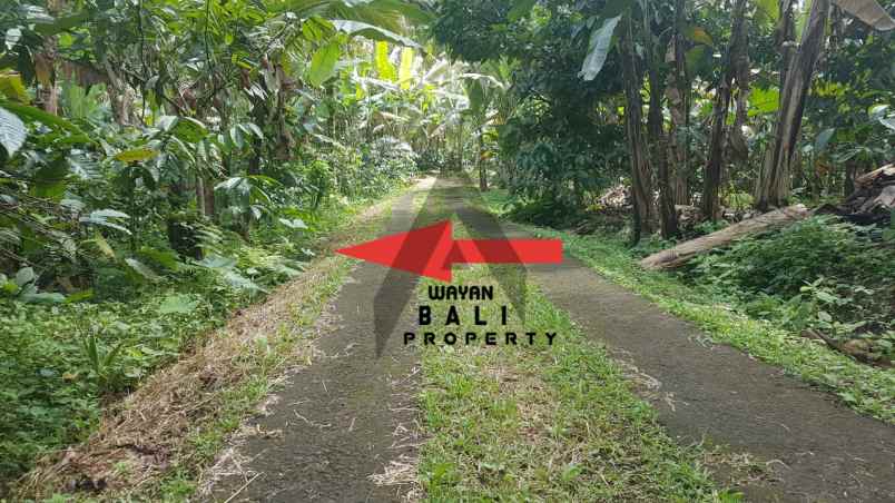 tanah jl banjar surabrata