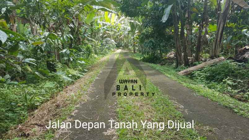 tanah jl banjar surabrata