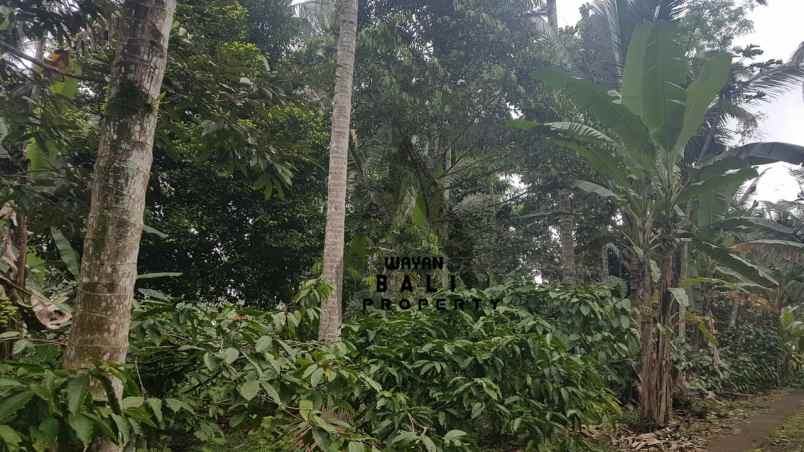 tanah jl banjar surabrata