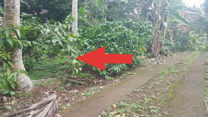 tanah jl banjar surabrata