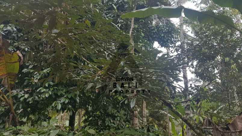 tanah jl banjar surabrata