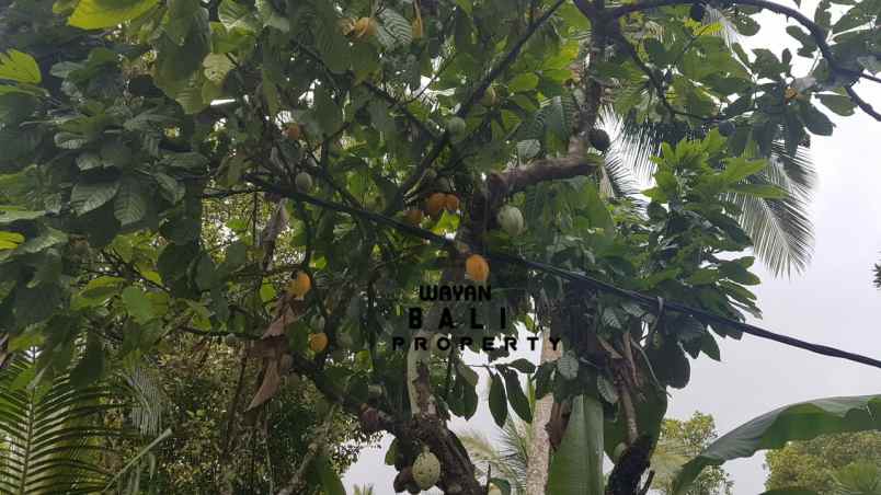 tanah jl banjar surabrata