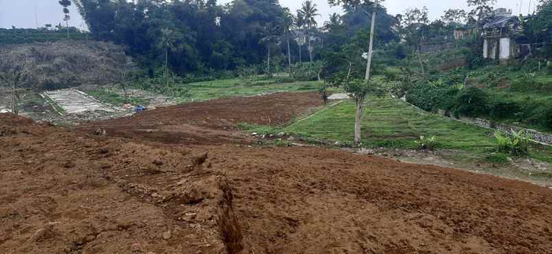 tanah jln munjul desa sukamanah