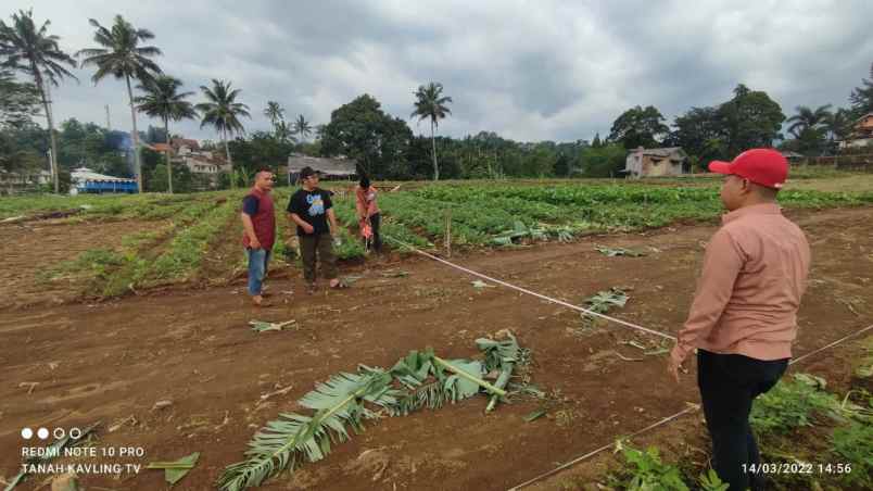 tanah jln munjul desa sukamanah