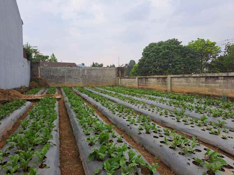 tanah kavling shm setiabudi bandung