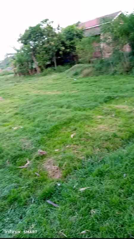 tanah kebun rata dekat pemukiman