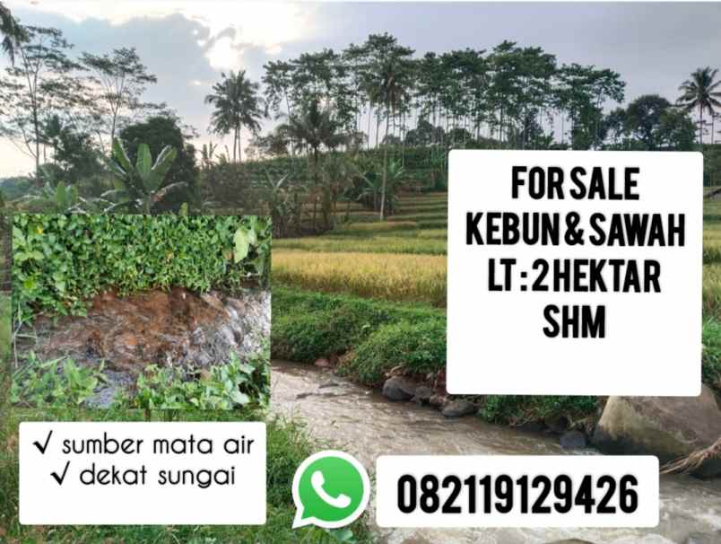 tanah kebun sawah sumber mata air subang