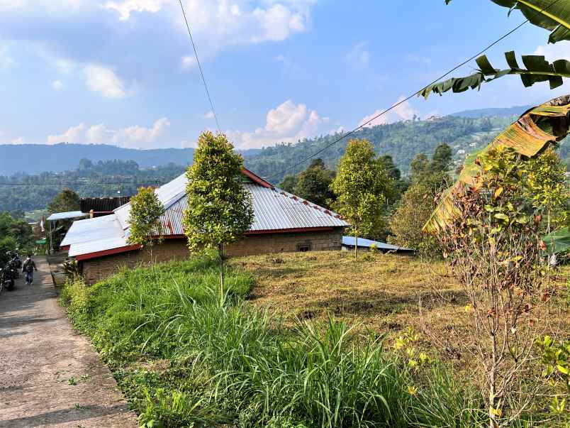 tanah kemuning ngargoyoso