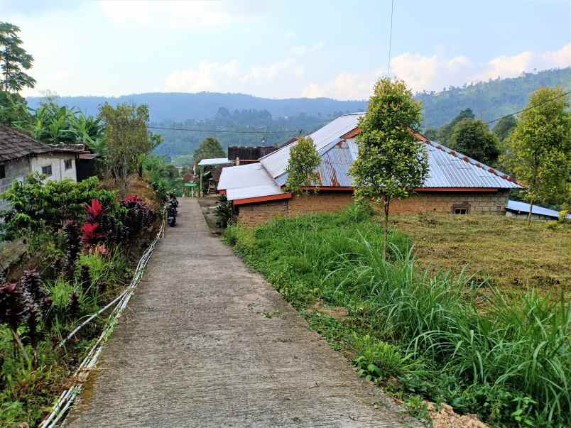 tanah kemuning ngargoyoso