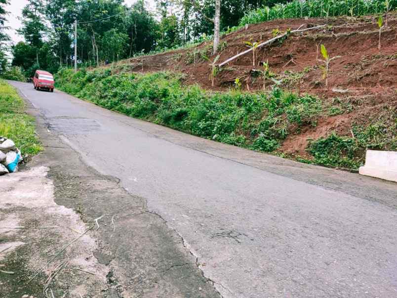 tanah kerjo karanganyar